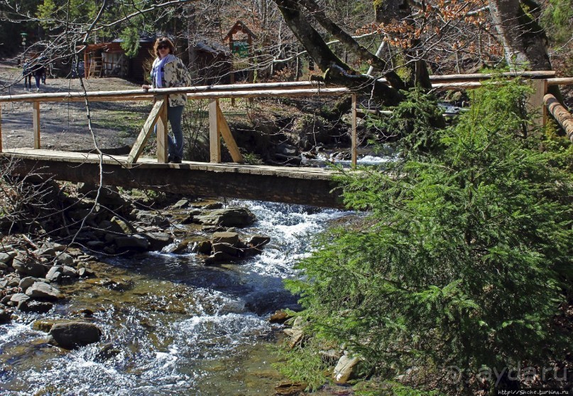 Водопад "Шипіт" — возможно, самый красивый водопад Украины