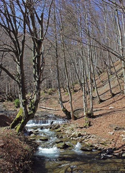 Водопад "Шипіт" — возможно, самый красивый водопад Украины