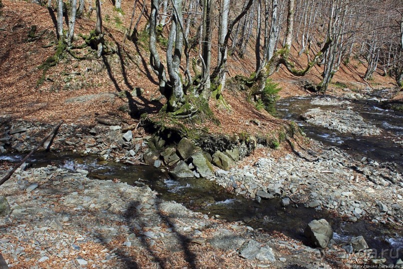 Водопад "Шипіт" — возможно, самый красивый водопад Украины