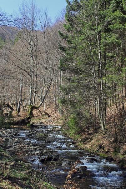 Водопад "Шипіт" — возможно, самый красивый водопад Украины