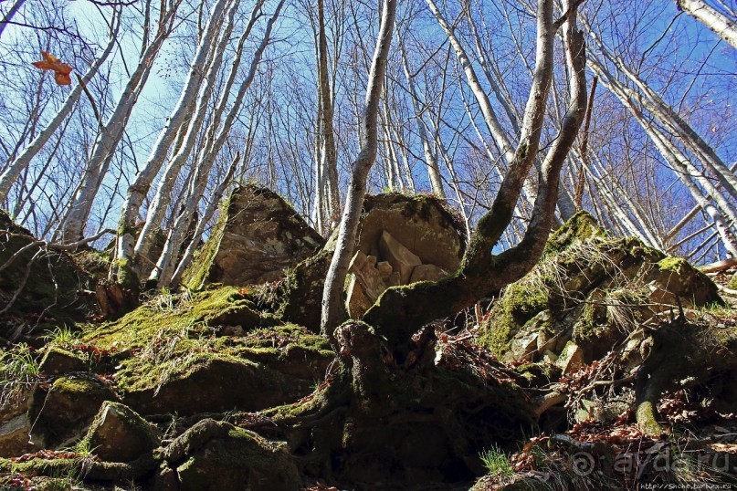 Водопад "Шипіт" — возможно, самый красивый водопад Украины