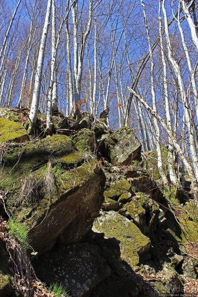 Водопад "Шипіт" — возможно, самый красивый водопад Украины