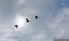 Скалы Нуалоло — "вид на миллион долларов" и немного "крейзи"