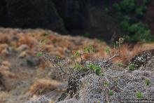 Скалы Нуалоло — "вид на миллион долларов" и немного "крейзи"