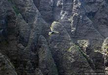 Скалы Нуалоло — "вид на миллион долларов" и немного "крейзи"