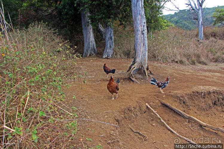 Скалы Нуалоло — "вид на миллион долларов" и немного "крейзи"