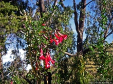 Остров Солнца. Скала Титикала — здесь боги ступили на землю