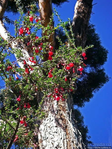 Остров Солнца. Скала Титикала — здесь боги ступили на землю