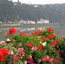 По Линцу мы гуляли постепенно..