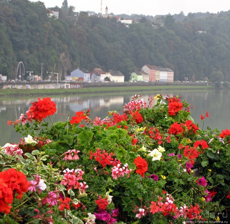 По Линцу мы гуляли постепенно..