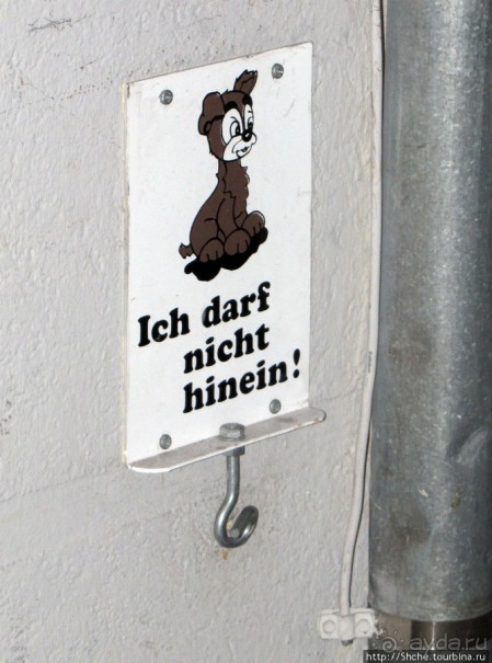 По Линцу мы гуляли постепенно..