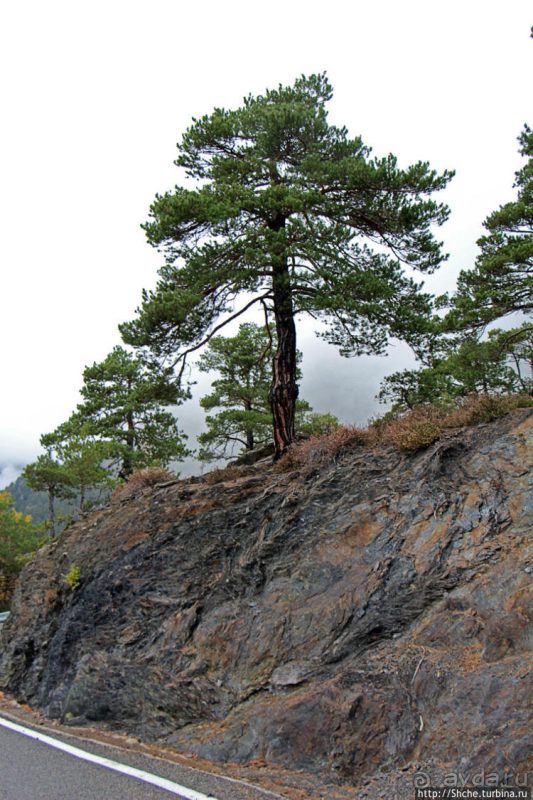 Дорога в облаках, или первый "облом" в Андорре 