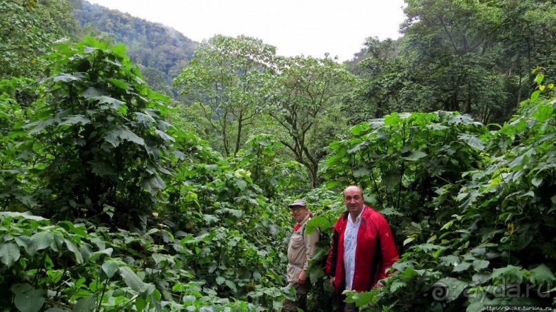 Большой Брат, я слежу за тобой