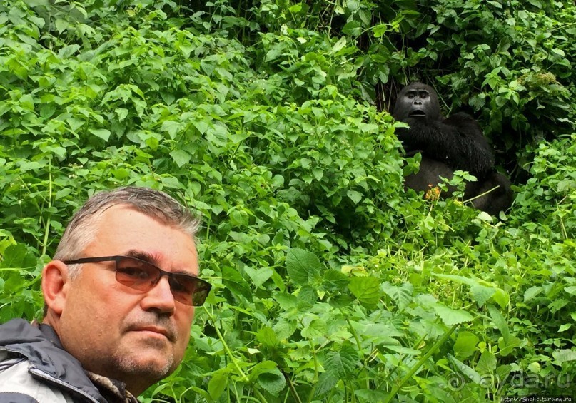 Большой Брат, я слежу за тобой