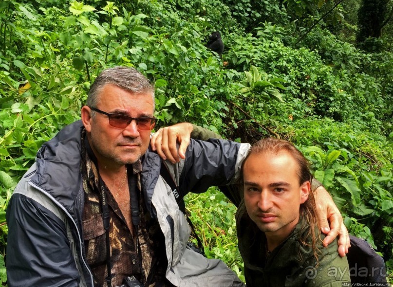 Большой Брат, я слежу за тобой