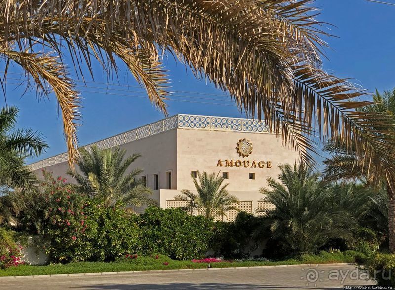 Лучшие друзья девушек... изыканные ароматы "Amouage"