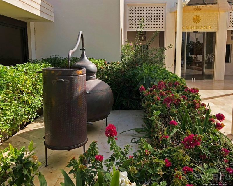 Лучшие друзья девушек... изыканные ароматы "Amouage"