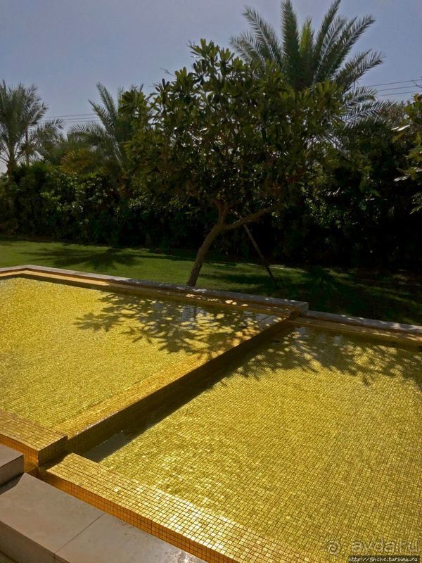 Лучшие друзья девушек... изыканные ароматы "Amouage"