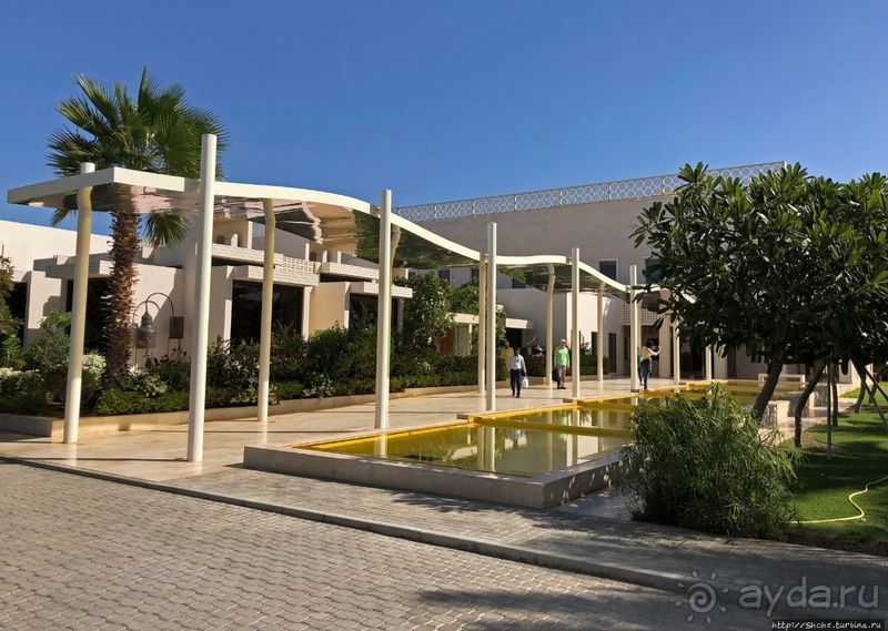 Лучшие друзья девушек... изыканные ароматы "Amouage"