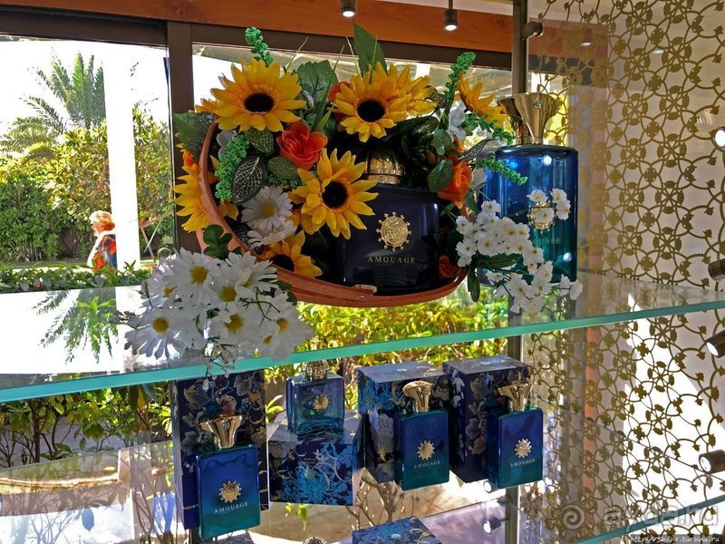 Лучшие друзья девушек... изыканные ароматы "Amouage"