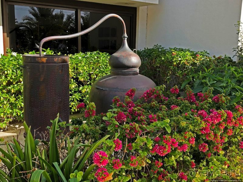 Лучшие друзья девушек... изыканные ароматы "Amouage"