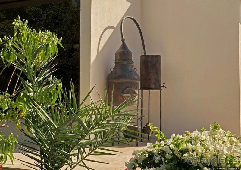 Лучшие друзья девушек... изыканные ароматы "Amouage"