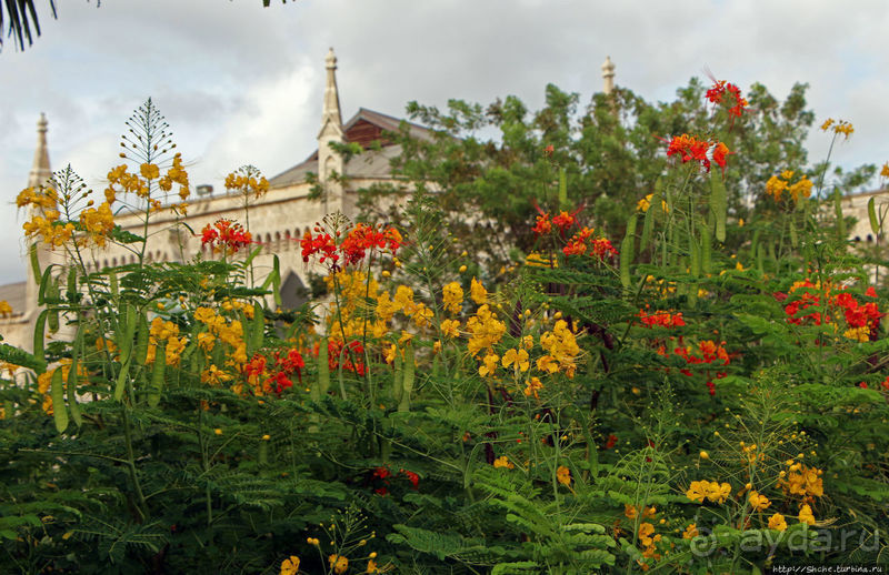 Лучшие друзья девушек... изыканные ароматы "Amouage"