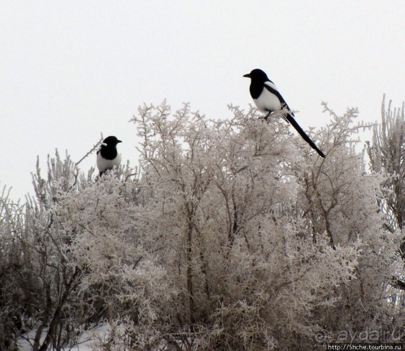 фото Вайоминга