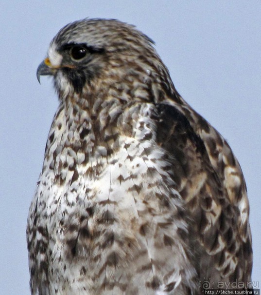 фото Вайоминга