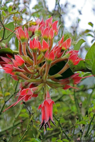 Очень продуманный спа-отель с термальными бассейнами