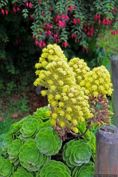 Очень продуманный спа-отель с термальными бассейнами