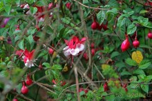 Очень продуманный спа-отель с термальными бассейнами