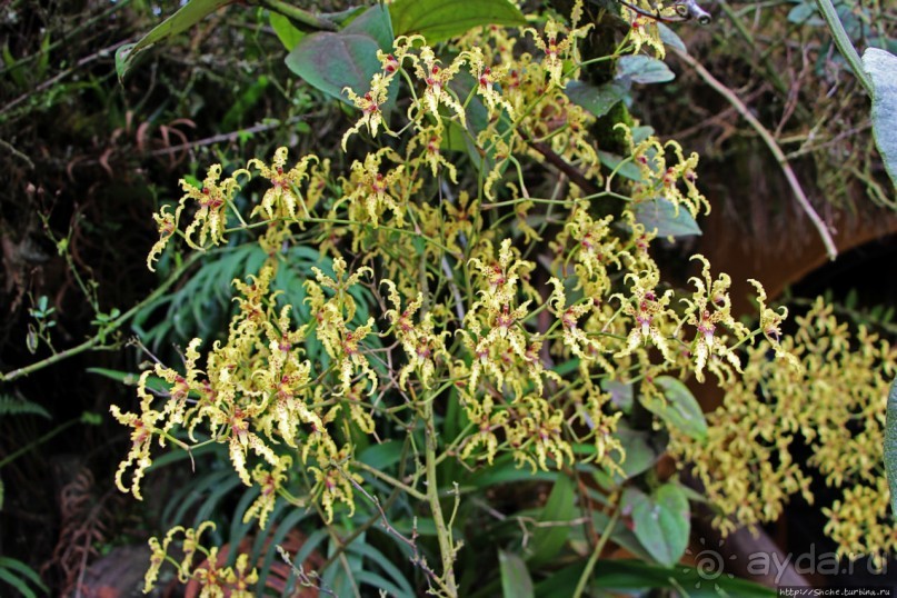 Очень продуманный спа-отель с термальными бассейнами