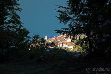 Лесистые склоны горы святого Джорджио