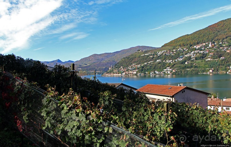 Лесистые склоны горы святого Джорджио