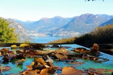 Лесистые склоны горы святого Джорджио