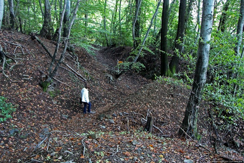 Лесистые склоны горы святого Джорджио