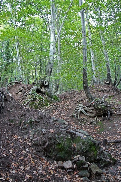 Лесистые склоны горы святого Джорджио