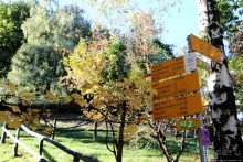 Лесистые склоны горы святого Джорджио