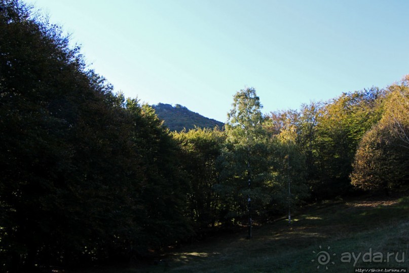 Лесистые склоны горы святого Джорджио