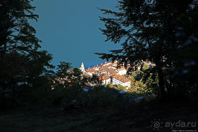 Лесистые склоны горы святого Джорджио