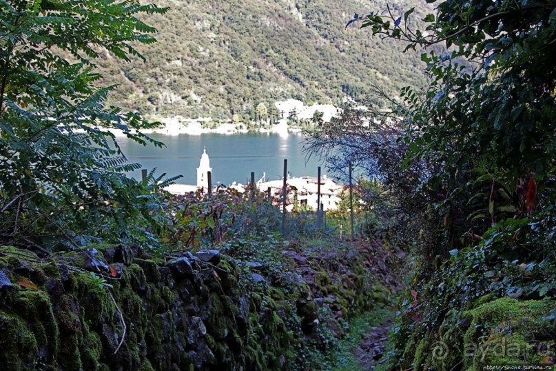 Лесистые склоны горы святого Джорджио