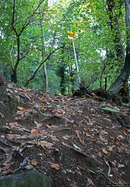 Лесистые склоны горы святого Джорджио