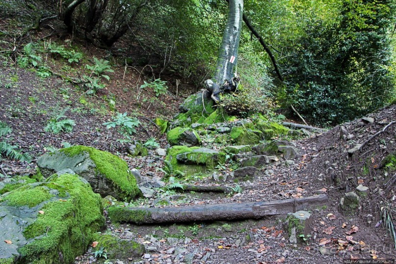 Лесистые склоны горы святого Джорджио