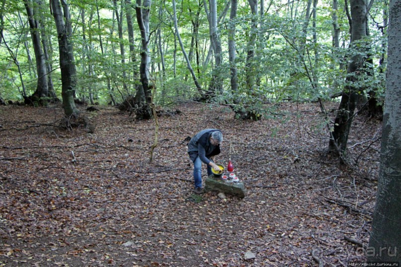 Лесистые склоны горы святого Джорджио