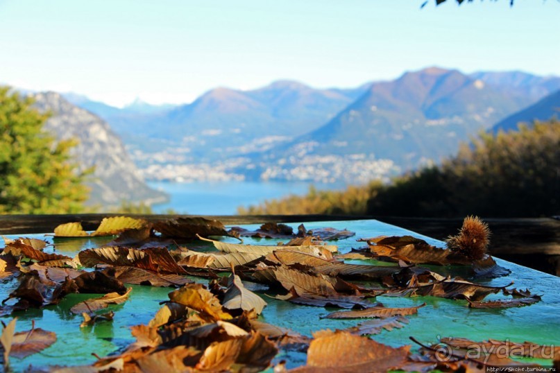 Лесистые склоны горы святого Джорджио