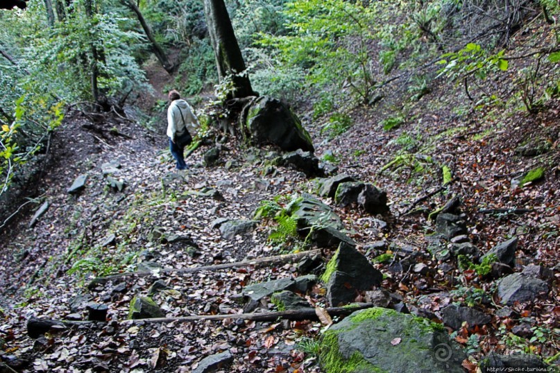 Лесистые склоны горы святого Джорджио