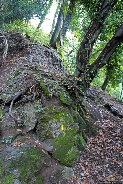 Лесистые склоны горы святого Джорджио