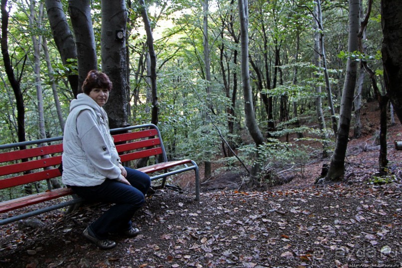 Лесистые склоны горы святого Джорджио