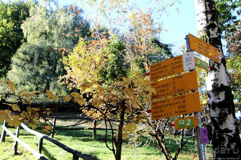 Лесистые склоны горы святого Джорджио